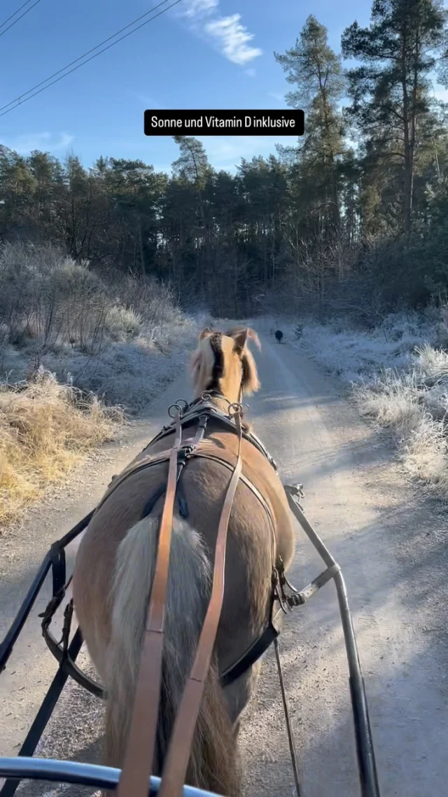 Nachdem sich die Sonne in den letzten Monaten kaum hat blicken lassen, tut es gerade einfach nur gut, die Sonnenstrahlen im Gesicht zu spüren ☀️❄️☀️❄️☀️

Übrigens die Wintersonnwende ist schon rum und die Tage werden endlich wieder länger 🥳 Ponylein hat deshalb auch beschlossen, sich seinem Winterfell zu entledigen 🫣🥲 ich freue mich schon auf Haare, Haare und noch mehr Haare bis Ende April 😅

Denkt also an Mineralfutter, Leinöl und Co. 

#futterberatung

Wer hat auch ein Pferd im Stall, das sich nach dem Kalender und nicht nach dem Wetter richtet?😜😅

#pferdefutter #pferdefütterung #kauftlokal #ponyliebe #pferdeliebe #kutschtour #fjordpferd